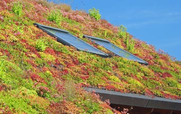 Speybridge living roof systems