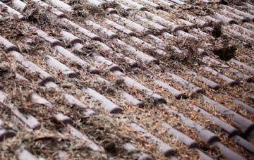 Speybridge roof cleaning companies