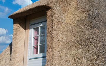 Speybridge thatch roof disadvantages